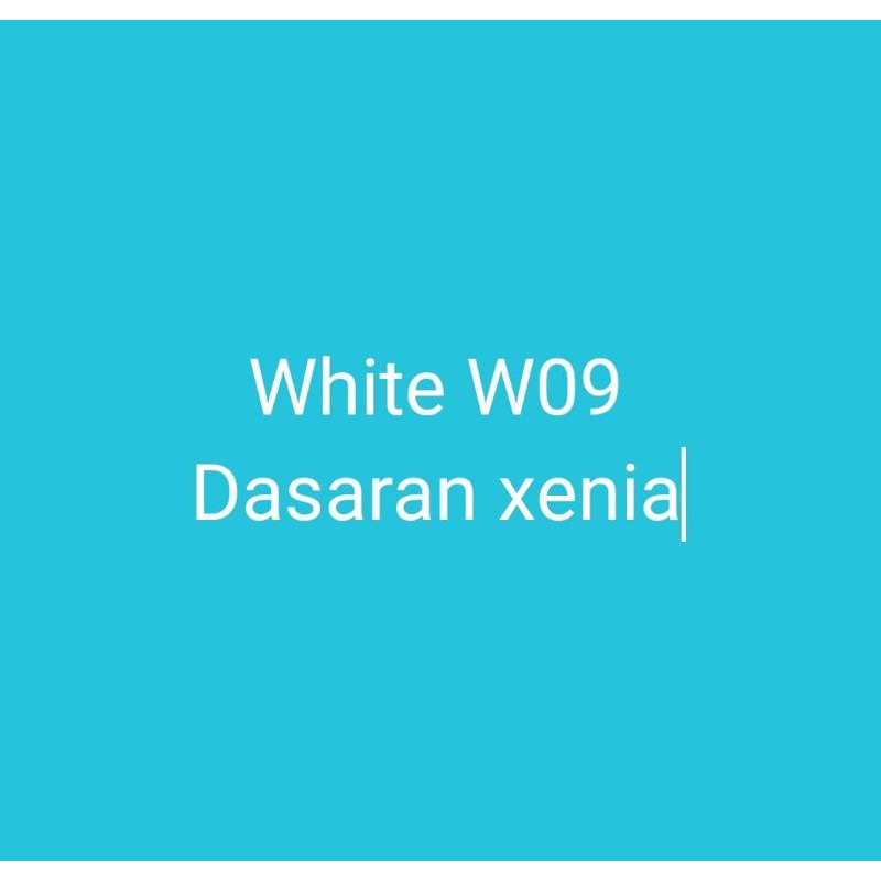 DASARAN XENIA WHITE W09