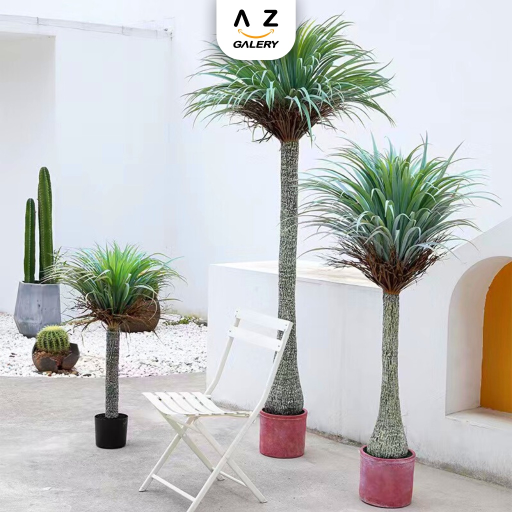 Pohon Palem Nolina Ponytail Palm Tanaman  Hias Plastik PBP128 Azgalery