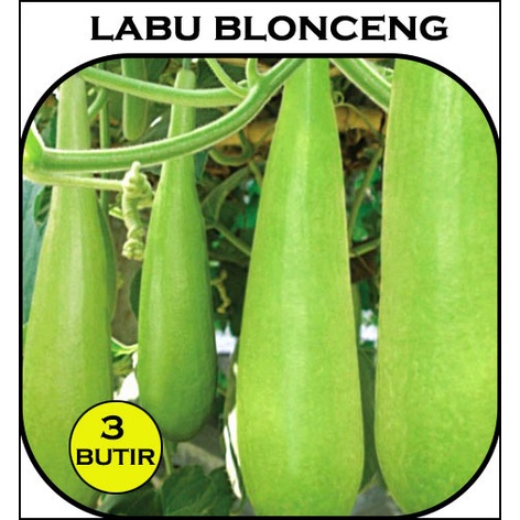 Benih Eceran Labu Blonceng/Labu Air isi 3 Butir
