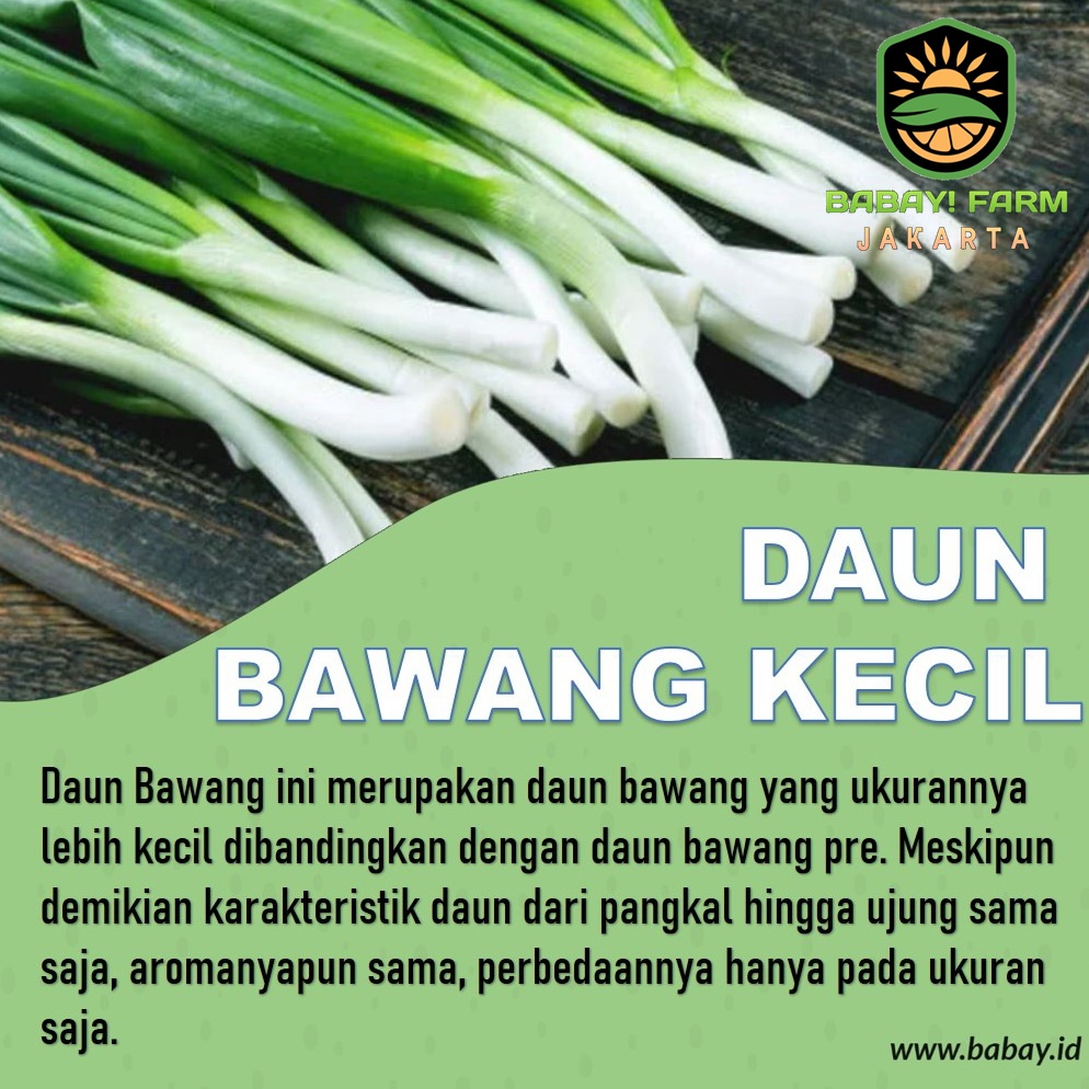 

Daun Bawang 1 Ikat / 500 gram