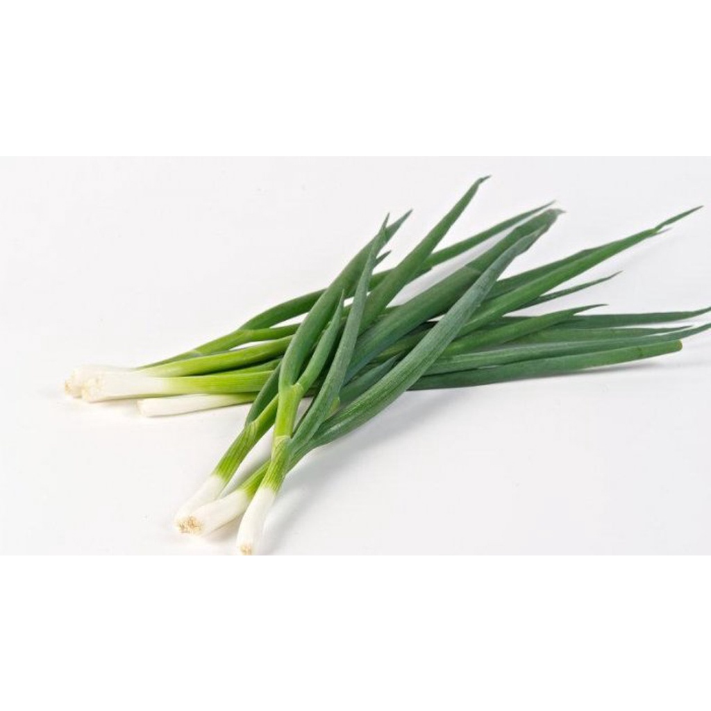 

Daun Bawang