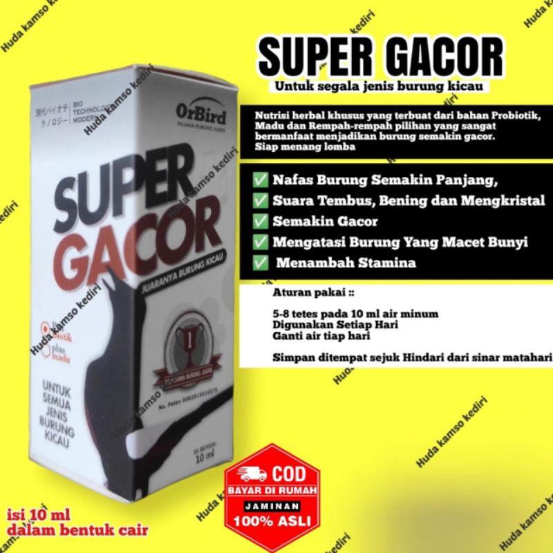 SUPER GACOR ORBIRD 100% JAMINAN ORIGINAL