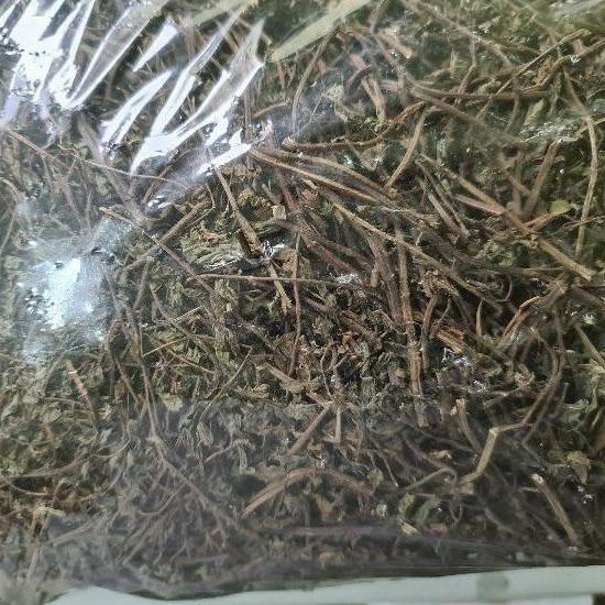 

limited Edition✔️Daun Mint Kering Asli 500gr|KD8