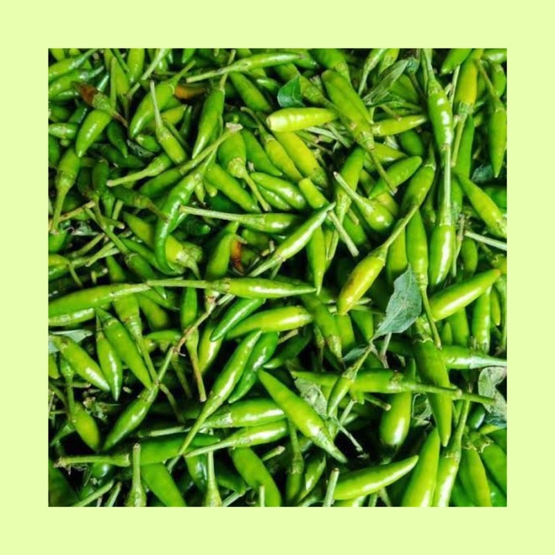 

Cabe rawit hijau / cabe rawit fresh