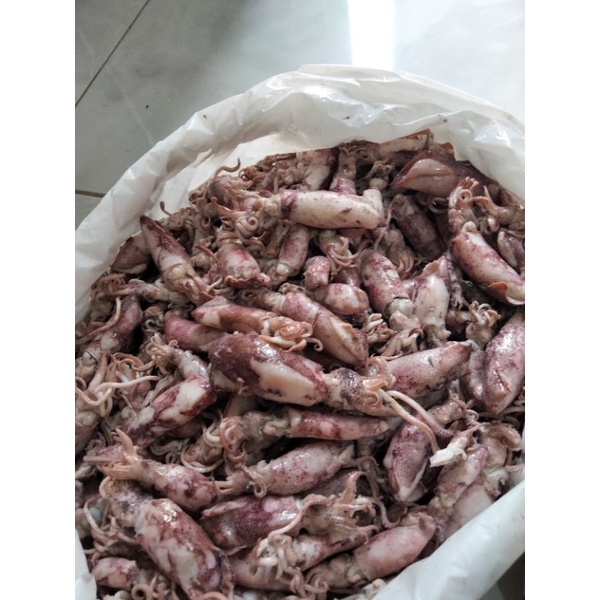 

cumi asin grade A kemasan 100gr,50gr, 250gr premium Termurah