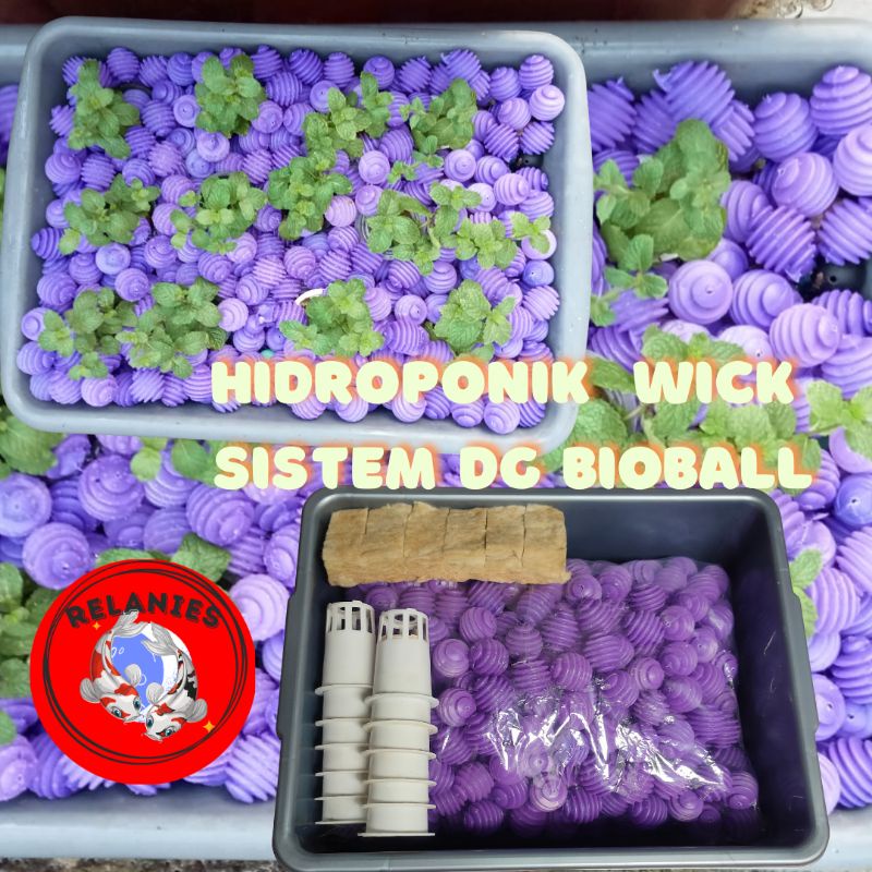 HIDROPONIK SET SYSTEM WICK HIDROPONIK DENGAN BIOBALL RUMAH BAKTERI TANAMAN HIDROPONIK