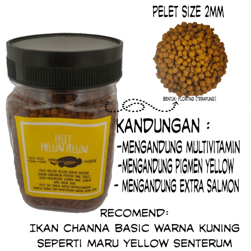 PELET MELLOW YELLOW pakan ikan Channa maru