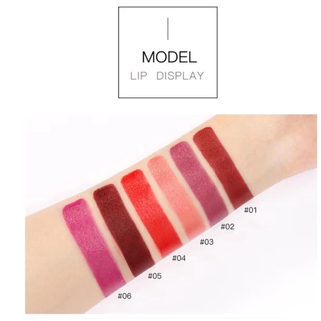 Lipstick Matte Anti Air Tahan Lama HENGFEI 6 Colours 9219 LS