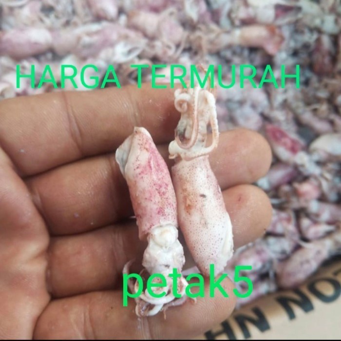 

Cumi Asin 1Kg /Cumi Asin Rebus/Cumi Asin Size Tanggung Tx0410