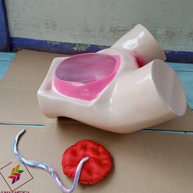 Phantom Manikin Panggul Persalinan Manual/Panggul Persalinan Lokal