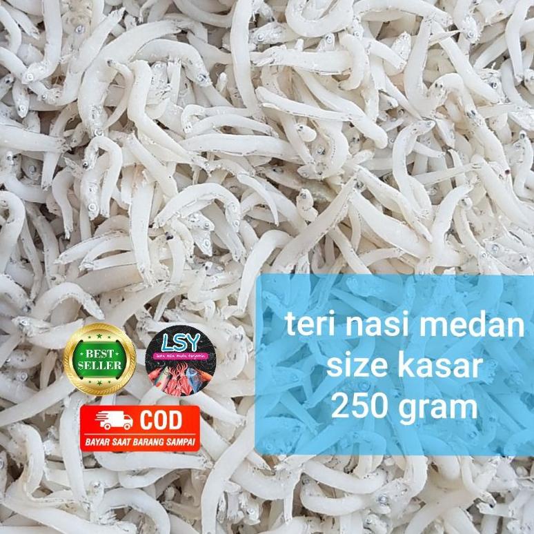 

[BAYAR DITEMPAT] ikan asin Teri nasi medan super /tn putih/ size jumbo 250gr