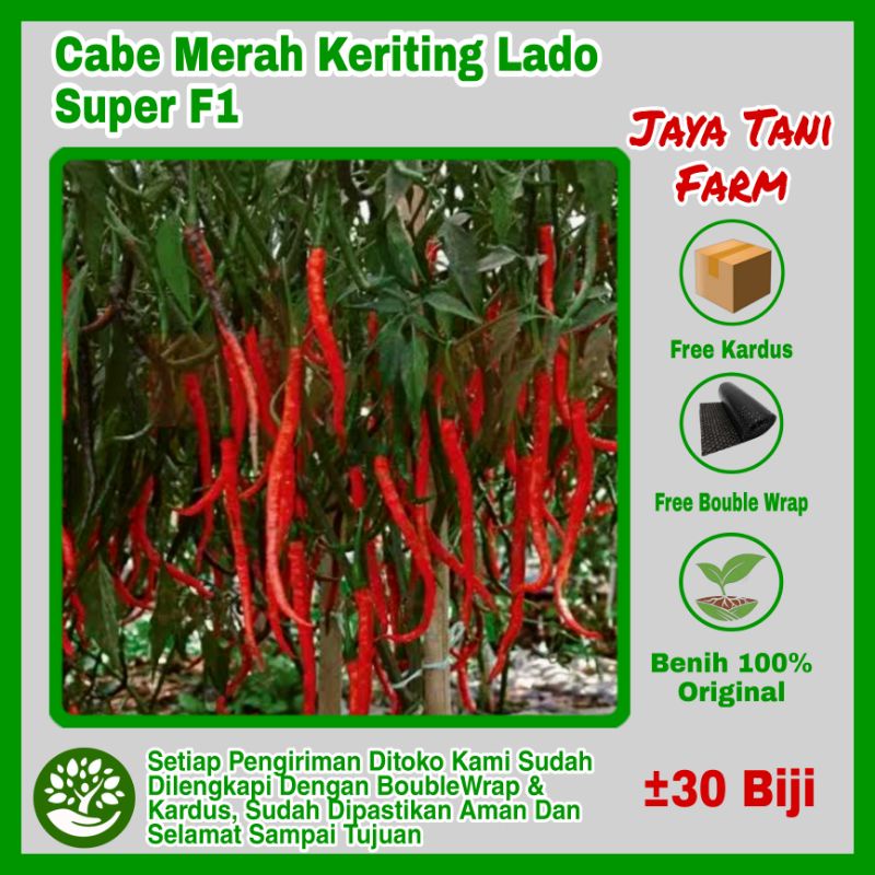 30 Biji Benih Cabe Cabai Merah Keriting Lado F1 / Benih Sayuran / Bibit Sayuran / Biji Sayuran / Bij