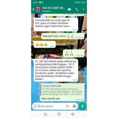 JAMU MERPATI MASTER POWER isi 100 butir