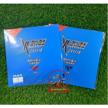 Rubber Karet Ciamik Reactor Ckylin Blue Sponge Pingpong Tenis Meja