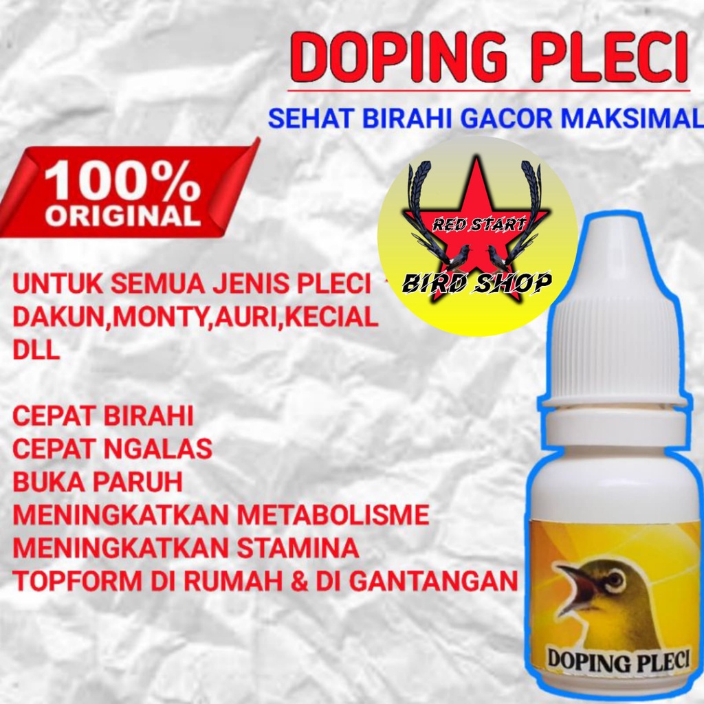 DOPING PLECI DAKUN MONTY AURI KECIAL DLL SEHAT BIRAHI GACOR MAKSIMAL