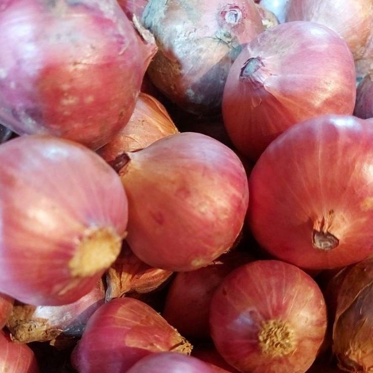 

✨MEGA ⚡ALE✨ Bawang Merah Peking Murah 1Kg