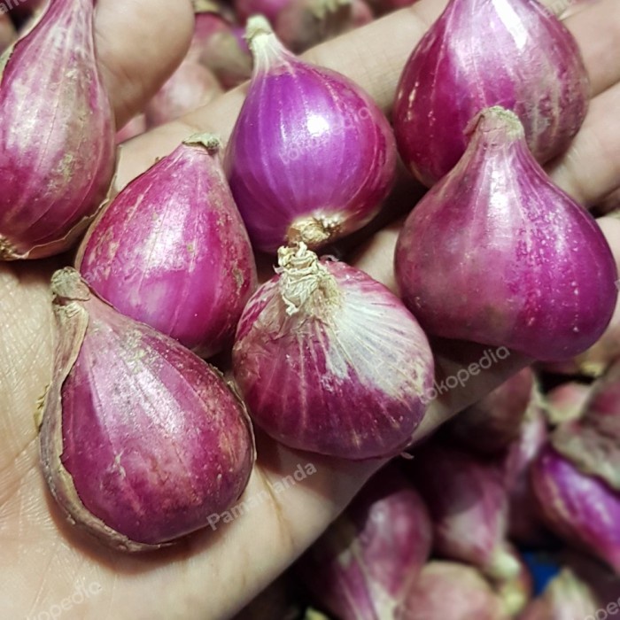 

Bawang Merah Brebes Super 1 Kg