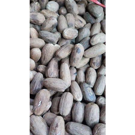 

palawija panjang/pala panjang