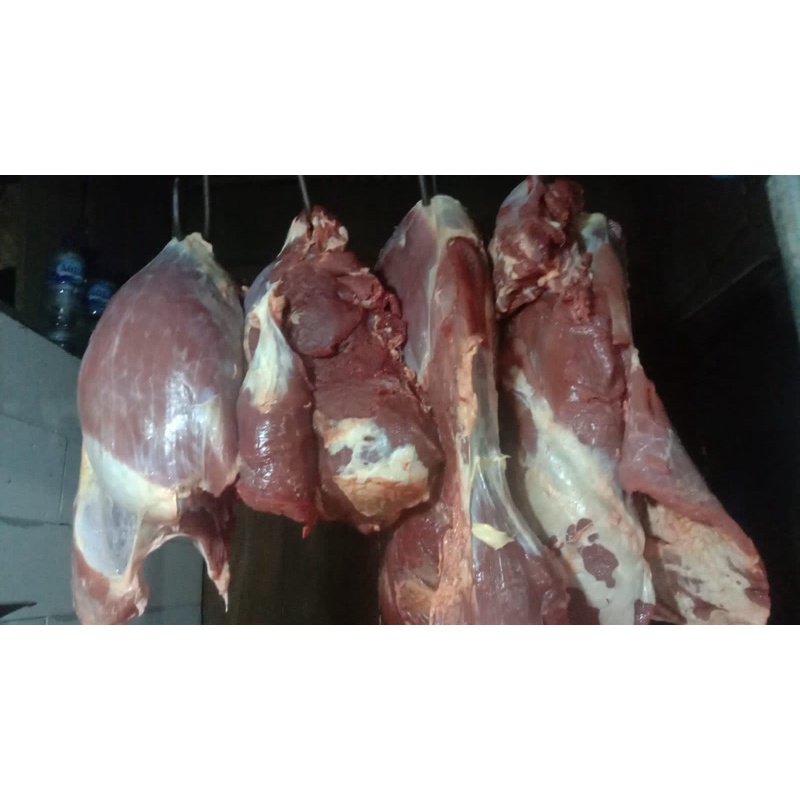 

daging sapi super full daging fresh