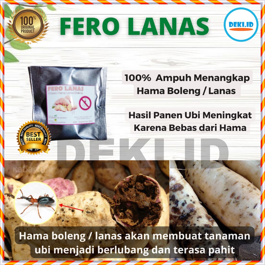 Fero Lanas Feromon Pengendali Hama Boleng Tanaman Umbi Ubi Jalar Ferolanas