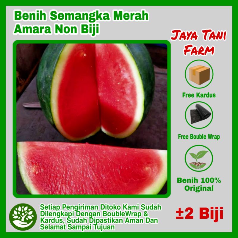 2 Biji Benih Buah Semangka Merah Tanpa Biji Amara / Benih Semangka  / Bibit Semangka/ Biji Semangka 