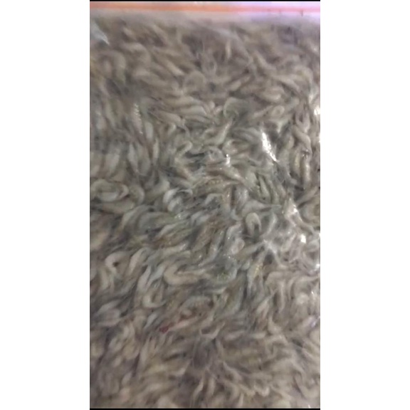 UDANG BEKU 500 GRAM UDANG BEKU KERING MINIM AIR PAKAN IKAN PREDATOR IKAN CHANNA AROWANA ARWANA # REA