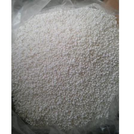 

[New]-L18Z☎| Sagu Mutiara Thailand Kecil / Besar Sago Pearl viral