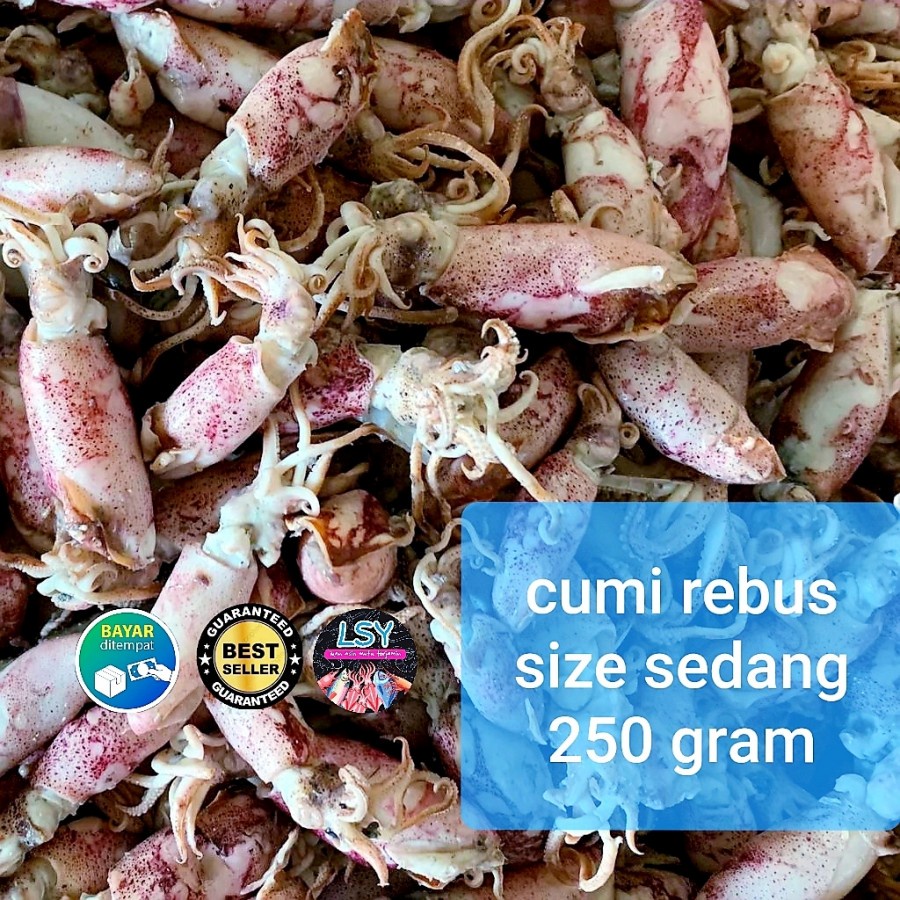 

ikan asin cumi rebus / sotong rebus size sedang 250gram