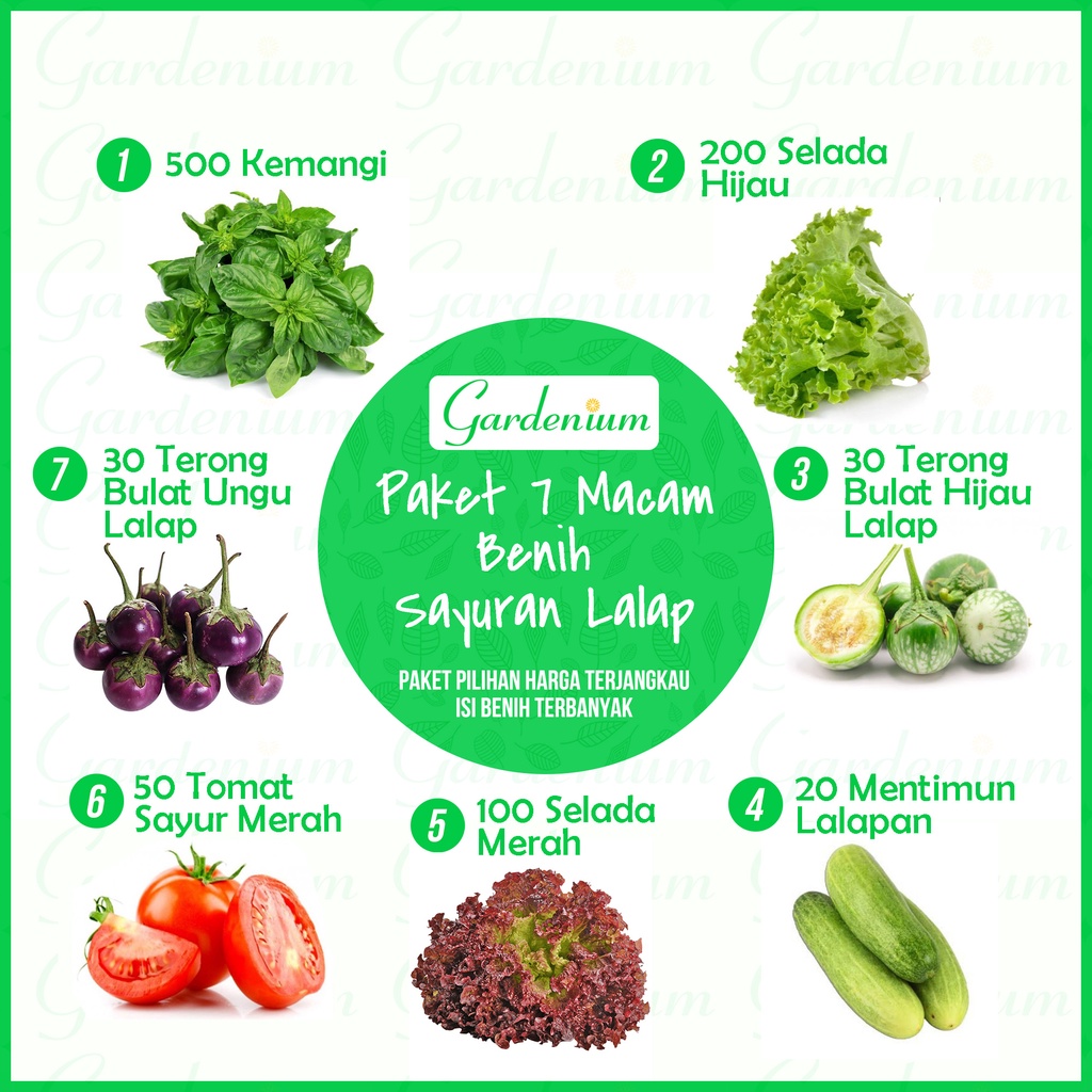 Paket 7 Macam Benih Sayuran Lalap ( Kemangi Terong Selada Merah Mentimun Tomat Sayur )
