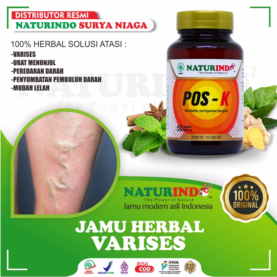 Obat Varises Di Kaki Dan Betis Parises Kaki Farises Tangan Otot Kaki Herbal Varises NATURINDO