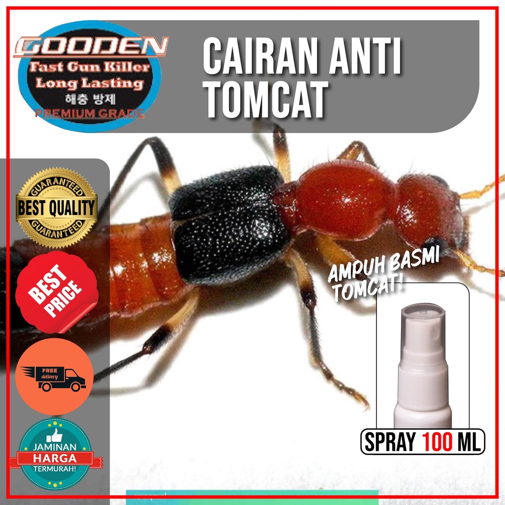 RACUN CAIRAN PEMBASMI TOMCAT 100 ml GOODEN Racun Pengusir Tomcat Obat Anti Tomcat Spray Pembasmi Tom