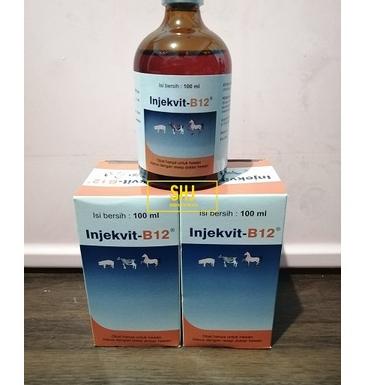 た INJEKSI VITAMIN B12/INJEKVIT B12 MEDION 100ML ひ