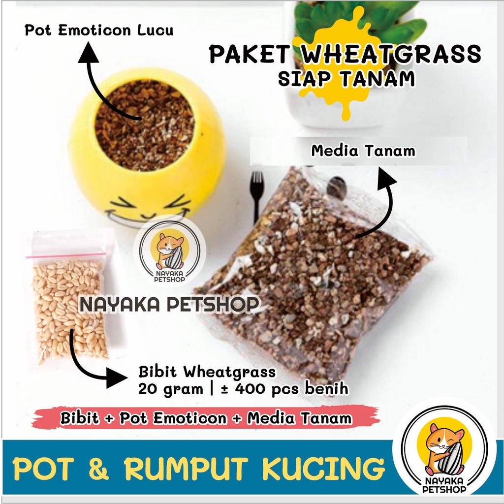 Paket Rumput Kucing Pot Emoticon Lucu Tempat Tanam Wheat Grass Wheatgrass Benih Bibit Rumput Gandum