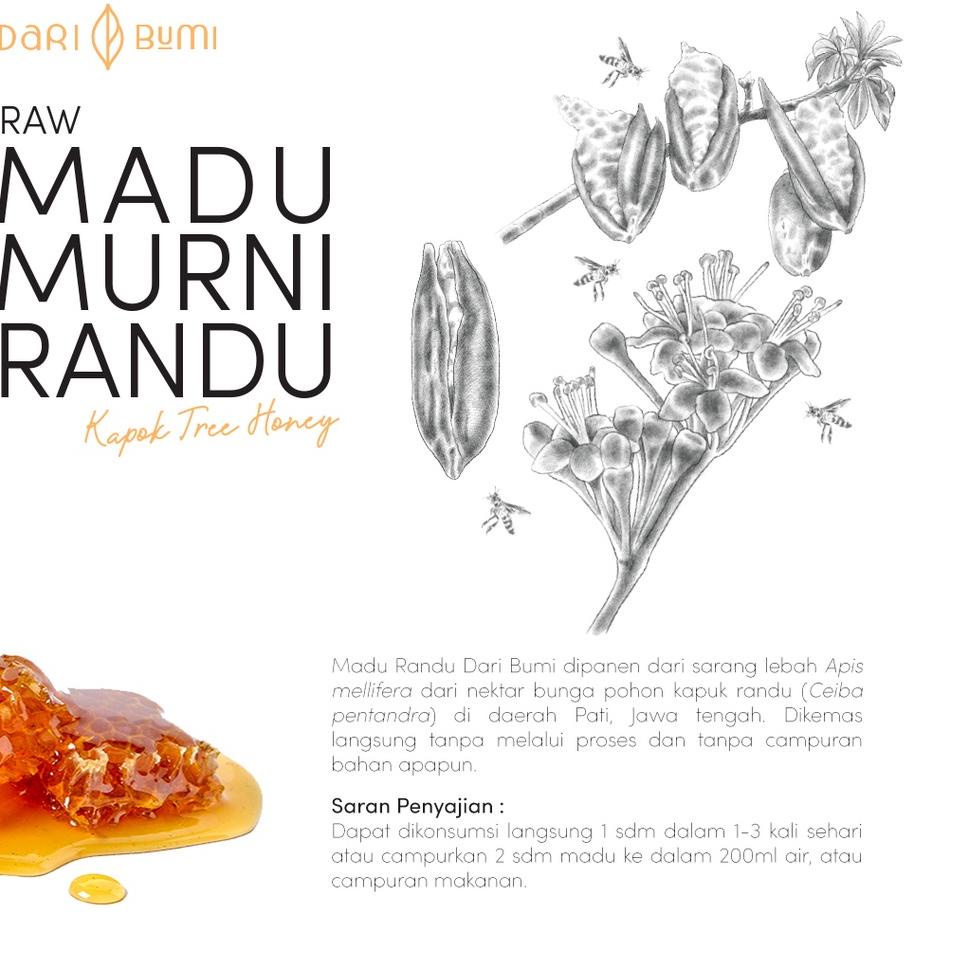 

(PROMO ZPG78) Madu Murni Randu 650g Dari Bumi Premium Pure Original ✼