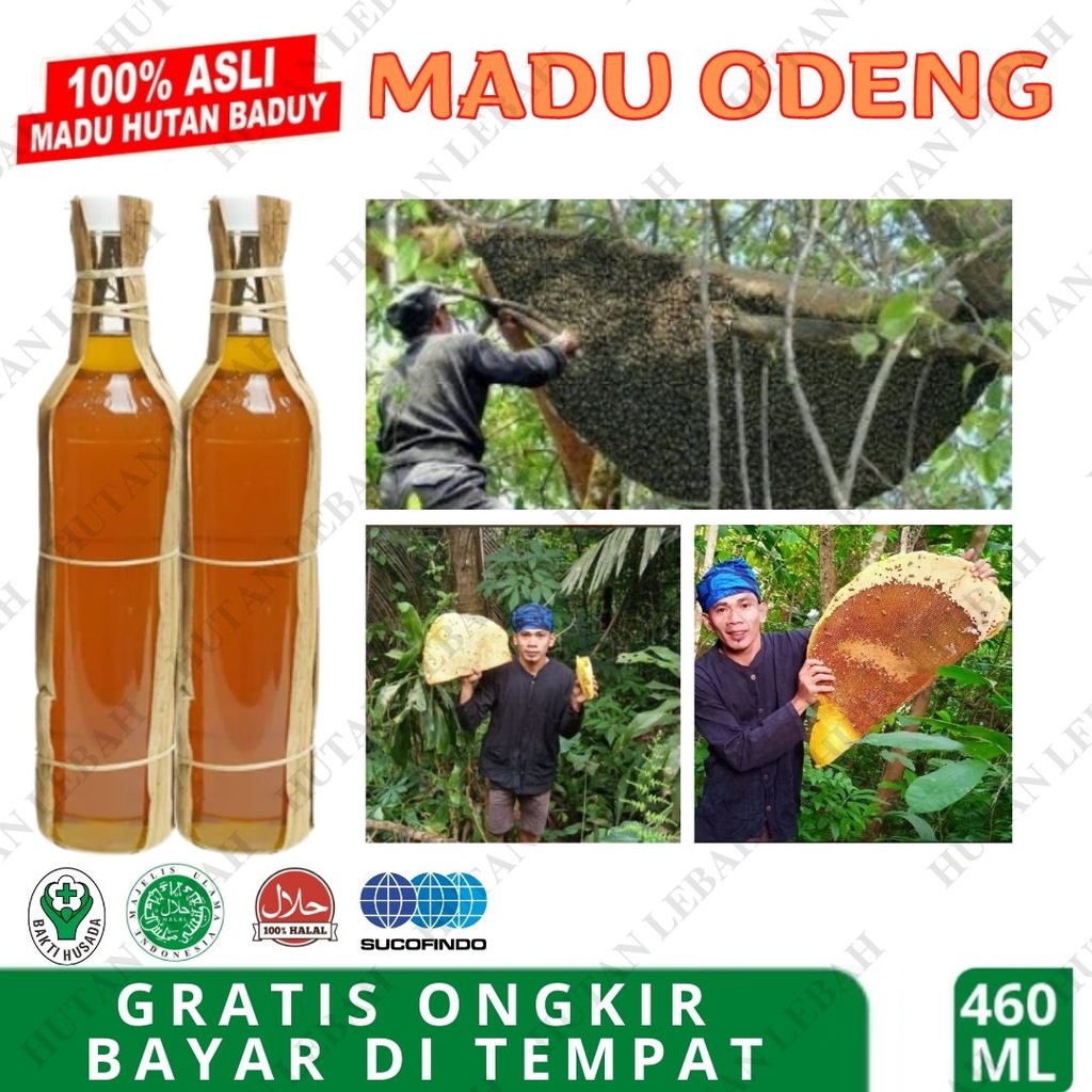 

COD BAYAR DI TEMPAT Madu Manis Murah Madu Odeng Asli Hutan Baduy Madu Manis Murni Suku Baduy 100% ASLI Madu Termurah madu asli murah madu hitam madu odeng madu baduy madu kalimantan madu kuat madu pekasa madu laki laki jaga imun BAYAR DITEMPAT