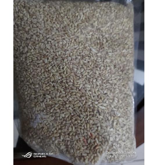 

PROMO 1.1 kacang mede menir/kemasan/kiloan/kacang mede/remukan .,.,.,..,