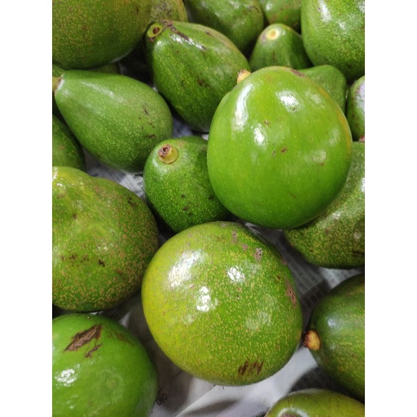 

Alpukat Mentega 1kg