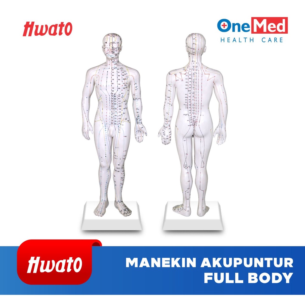 Manekin Patung Akupuntur Acupuncture Full Human Body Badan Onemed Hwato OJB