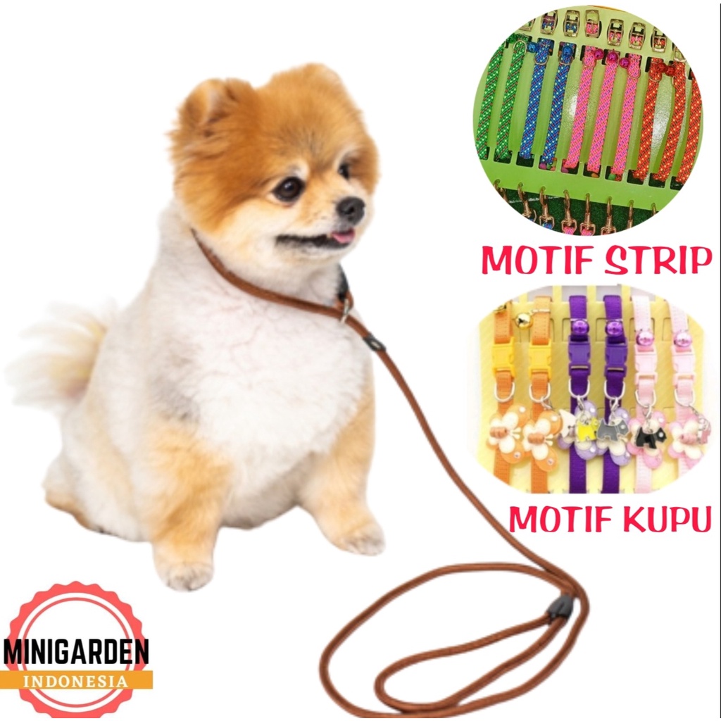 TALI TUNTUN ANJING KUCING + KALUNG dog leash pet collar kalung hewan dog collar