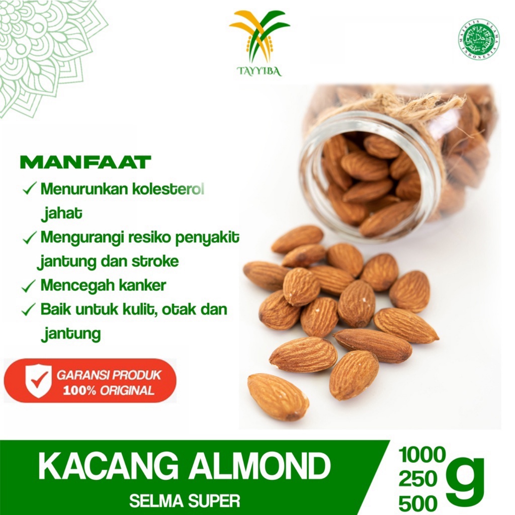 

Kacang Almond Kulit Panggang – Kacang Enak Renyah Oleh-oleh Haji Umroh (500gram, 250 gram, 1 Kg)