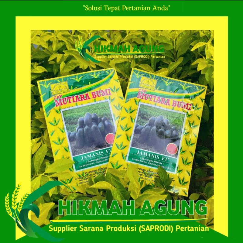 

Benih Semangka Jamanis 20 Gr Cap Mutiara Bumi Original Pabrik