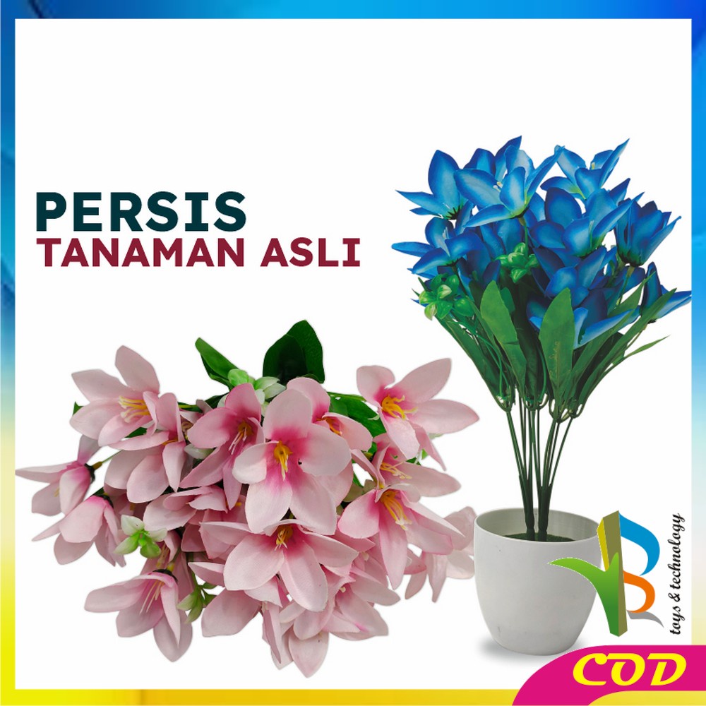 RB-C548 Pot Bunga Hias Ornamen Bunga Lily Artificial Plastik Bunga Ruang Tamu Bunga Dekorasi Rumah Hiasan Pajangan