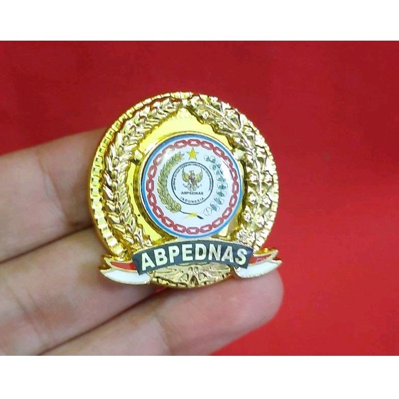 PIN BPD ABPEDNAS