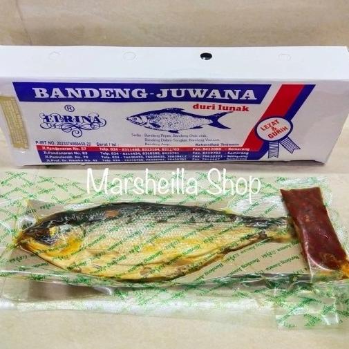 

BANDENG PRESTO DURI LUNAK JUWANA ELRINA VACUUM KERING