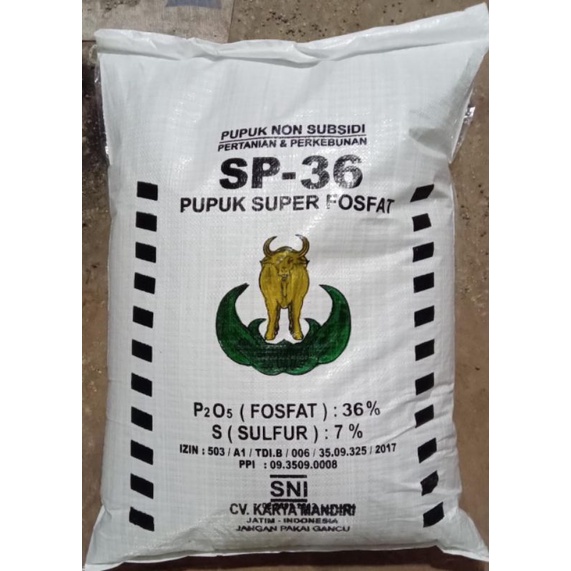 Pupuk SP 36