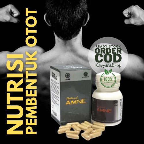 Obat Herbal Penggemuk Badan / Obat Penggemuk Badan / Obat Penambah Nafsu Makan Herbal Alami BPOM / O