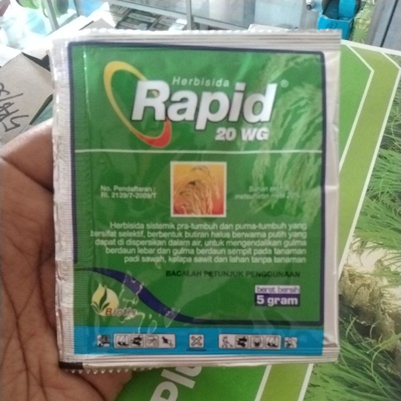 Herbisida Rapid 20WG 5gram