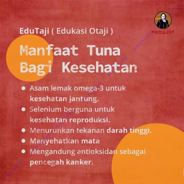 

Ukf5Pc6F4H (Kuliner.Kita) Otaji Oseng Tuna Asap 250 Gr