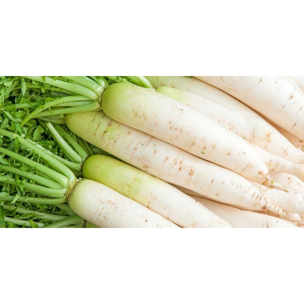 

lobak putih fresh 1kg
