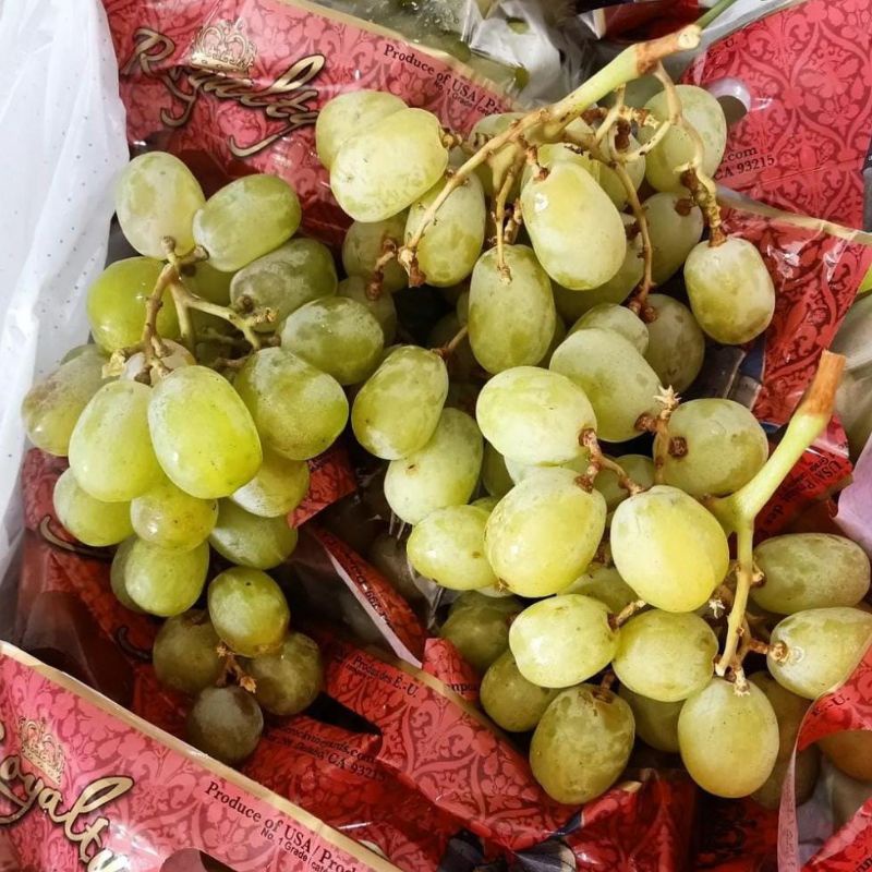 

Buah Anggur Hijau Manis / Asam Tanpa Biji